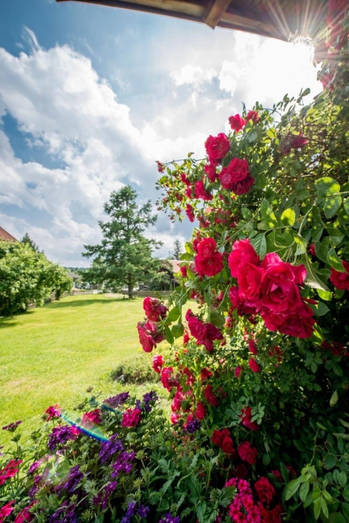 Ferienwohnung Lacherhof Seehausen am Staffelsee Bagian luar foto