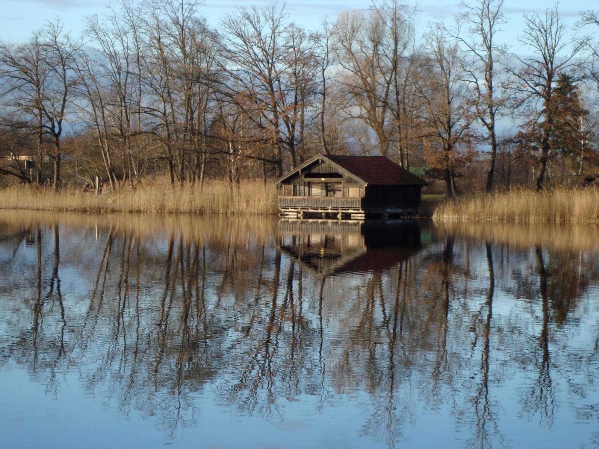 Ferienwohnung Lacherhof Seehausen am Staffelsee Bagian luar foto
